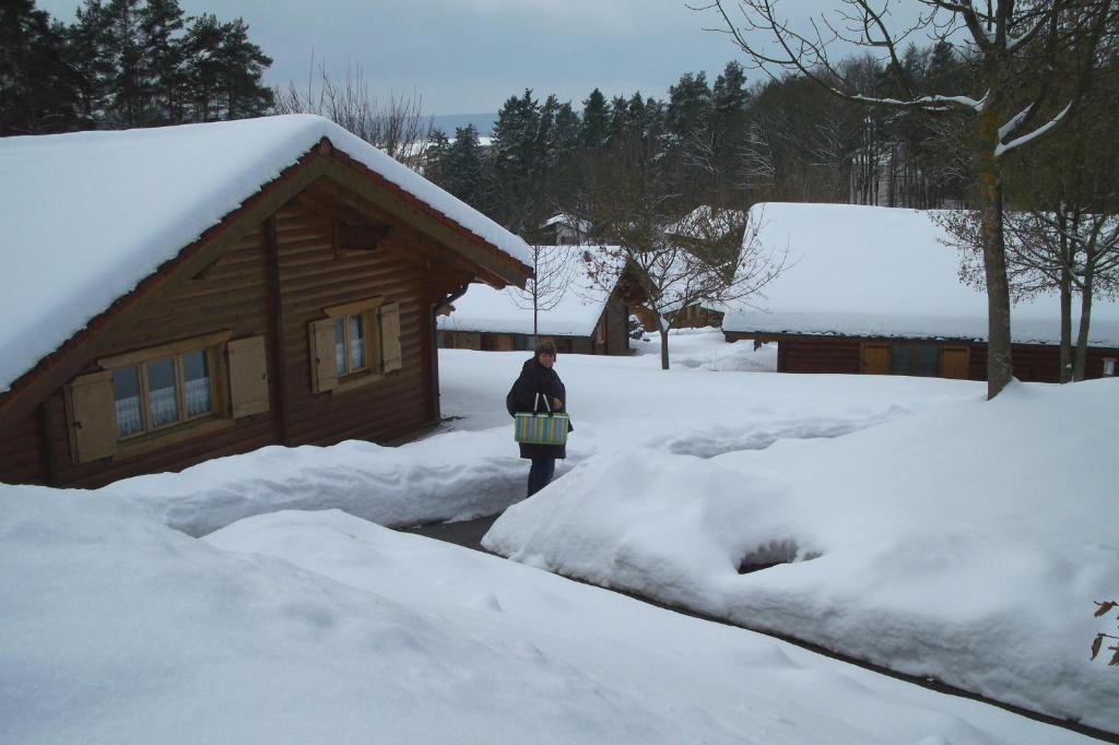 Villa Blockhaus Hedwig Stamsried Exterior foto