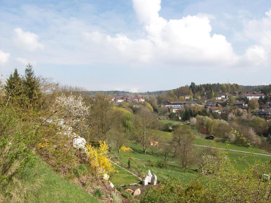 Villa Blockhaus Hedwig Stamsried Exterior foto